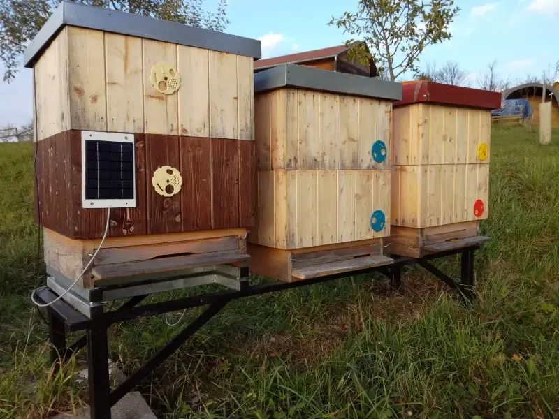 VeluBee včelařská váha v praxi