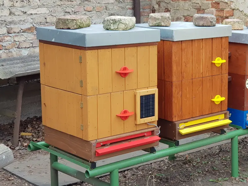 Instalación de báscula VeluBee